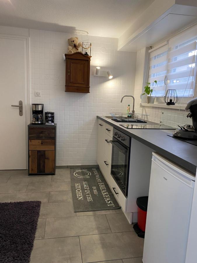 Apartmán Le Pi'Style Ingwiller Exteriér fotografie